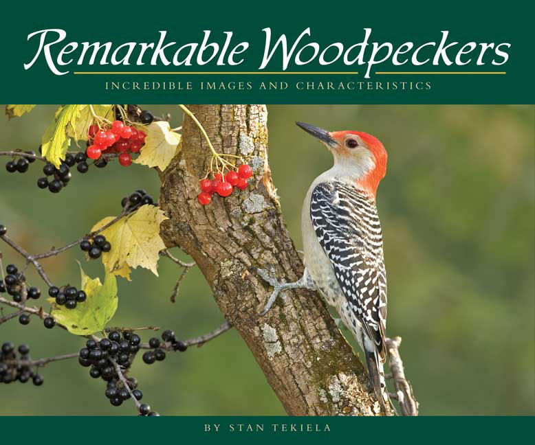 Remarkable Woodpeckers